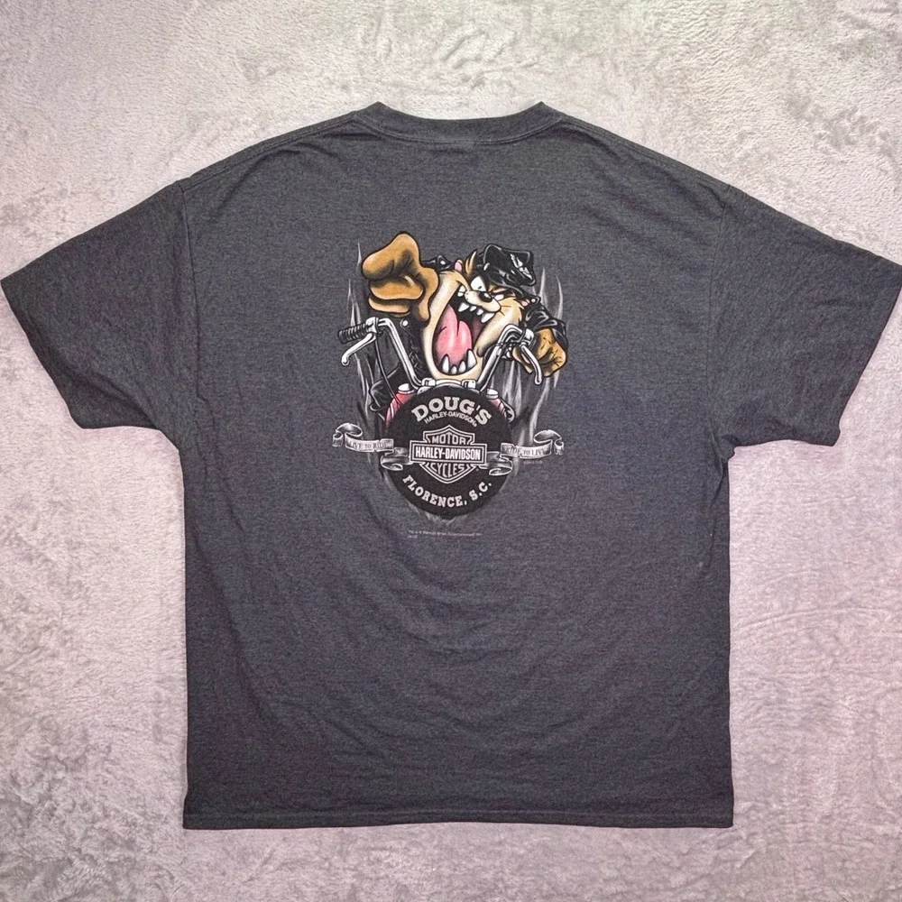 Harley-Davidson Men T-Shirt 2XL Gray Looney Tunes Wile E Coyote Taz Doug's SC